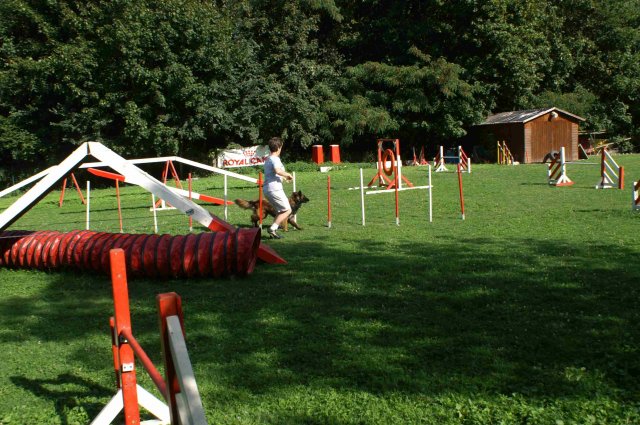 agility 2011-08